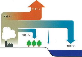 大気中のCO2の吸収